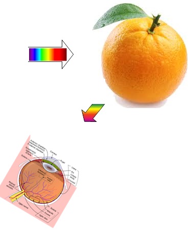 couleur-orange