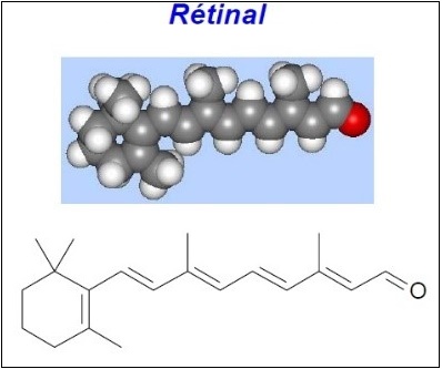retinal