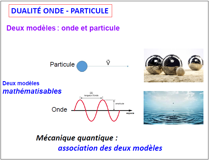dualite