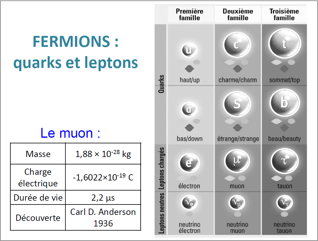 muon