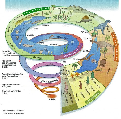 Echelle-spiralee-des-temps-geologiques-copie