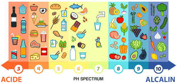 tableau-aliments-equilibre-acido-basique