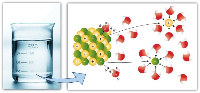 Sodium_chloride_dissolution