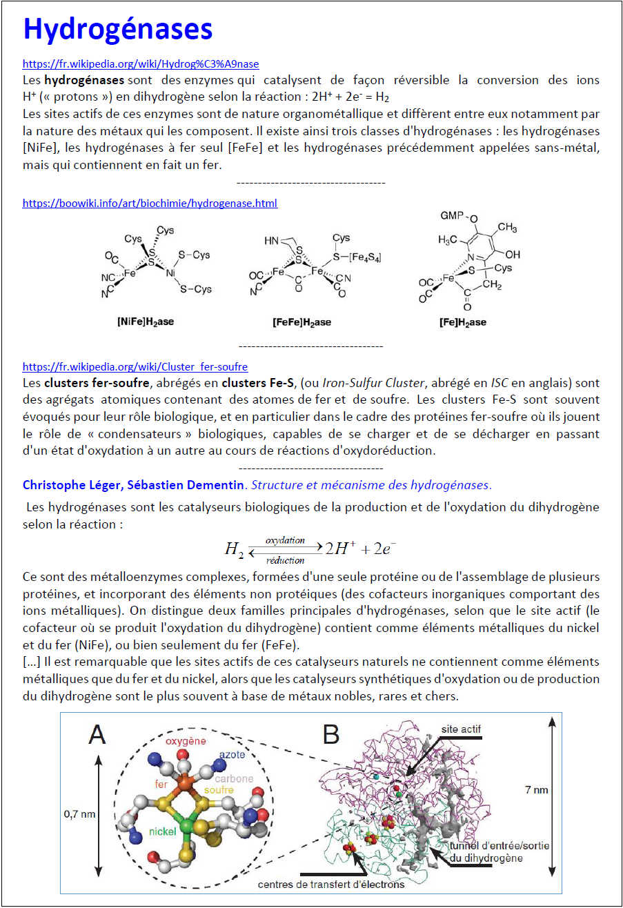 hydrogenase