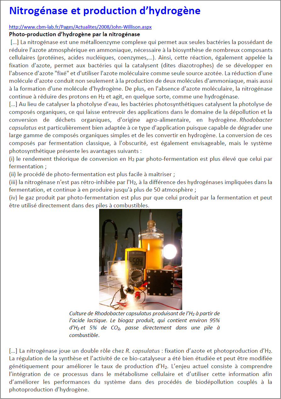 nitrogenase