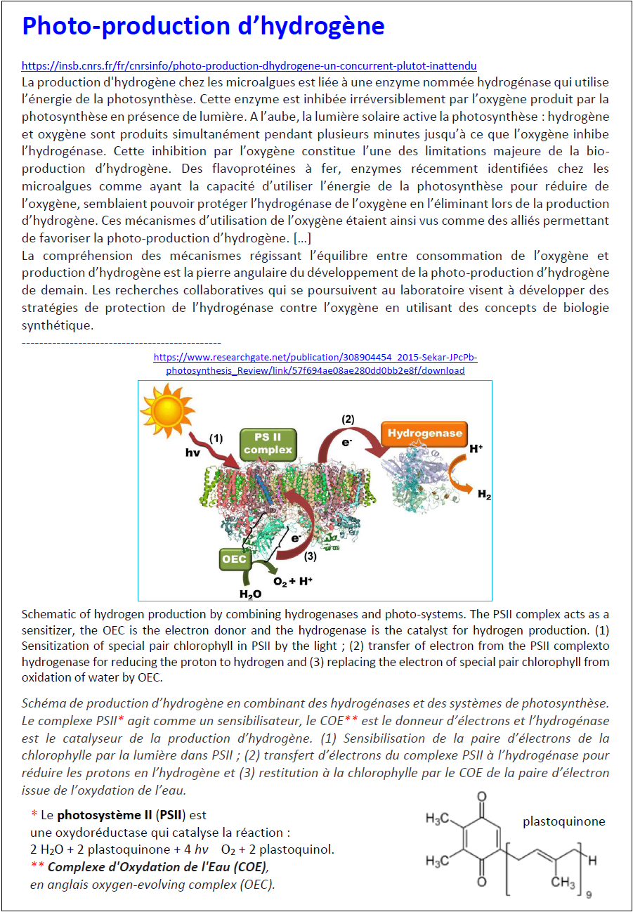 photoproduction-1