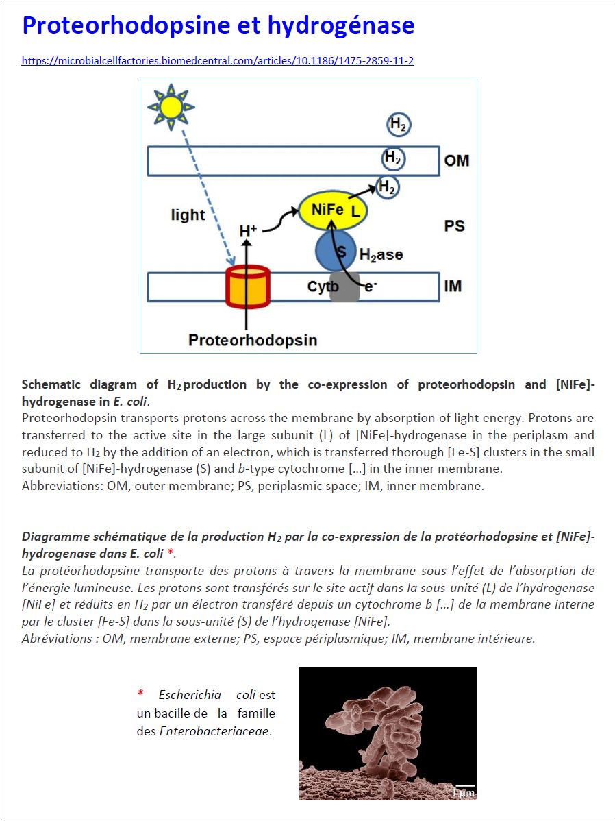 photoproduction-2