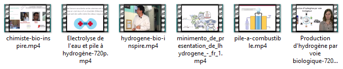 vids